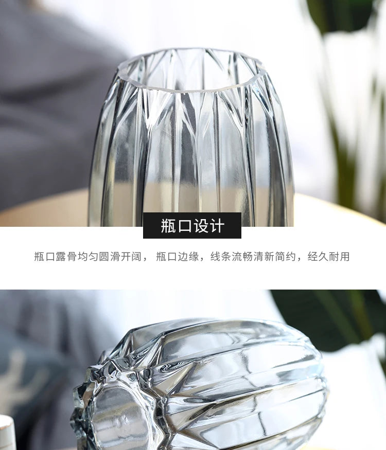 Nordic simple large glass vase transparent color