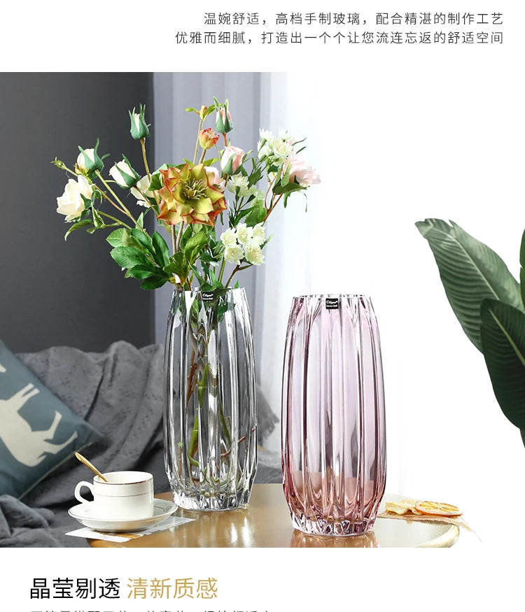 Nordic simple large glass vase transparent color