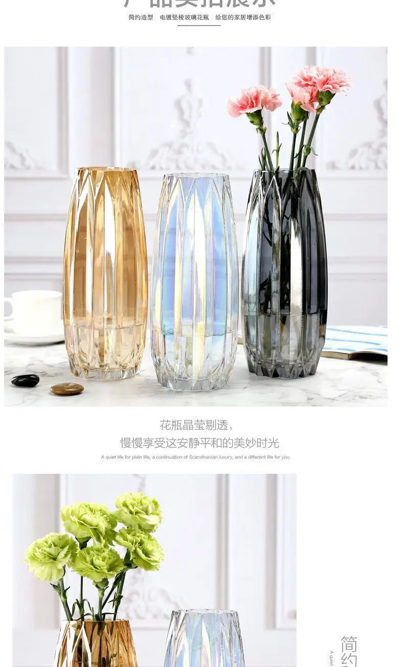 Nordic simple large glass vase transparent color