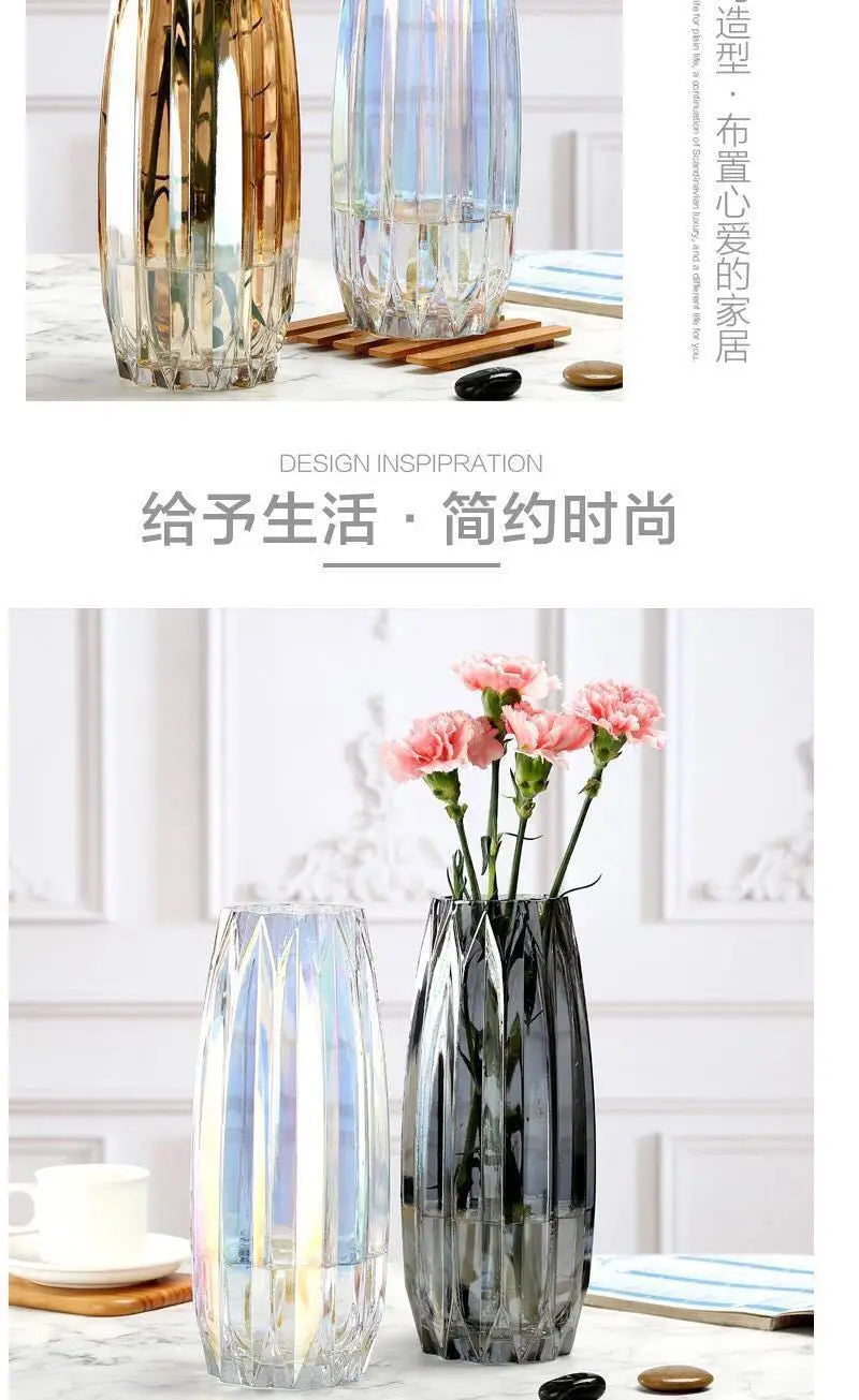 Nordic simple large glass vase transparent color