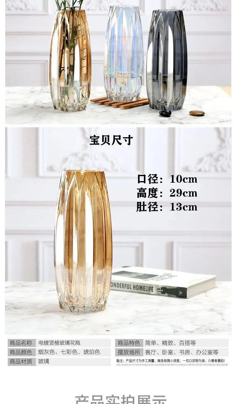 Nordic simple large glass vase transparent color