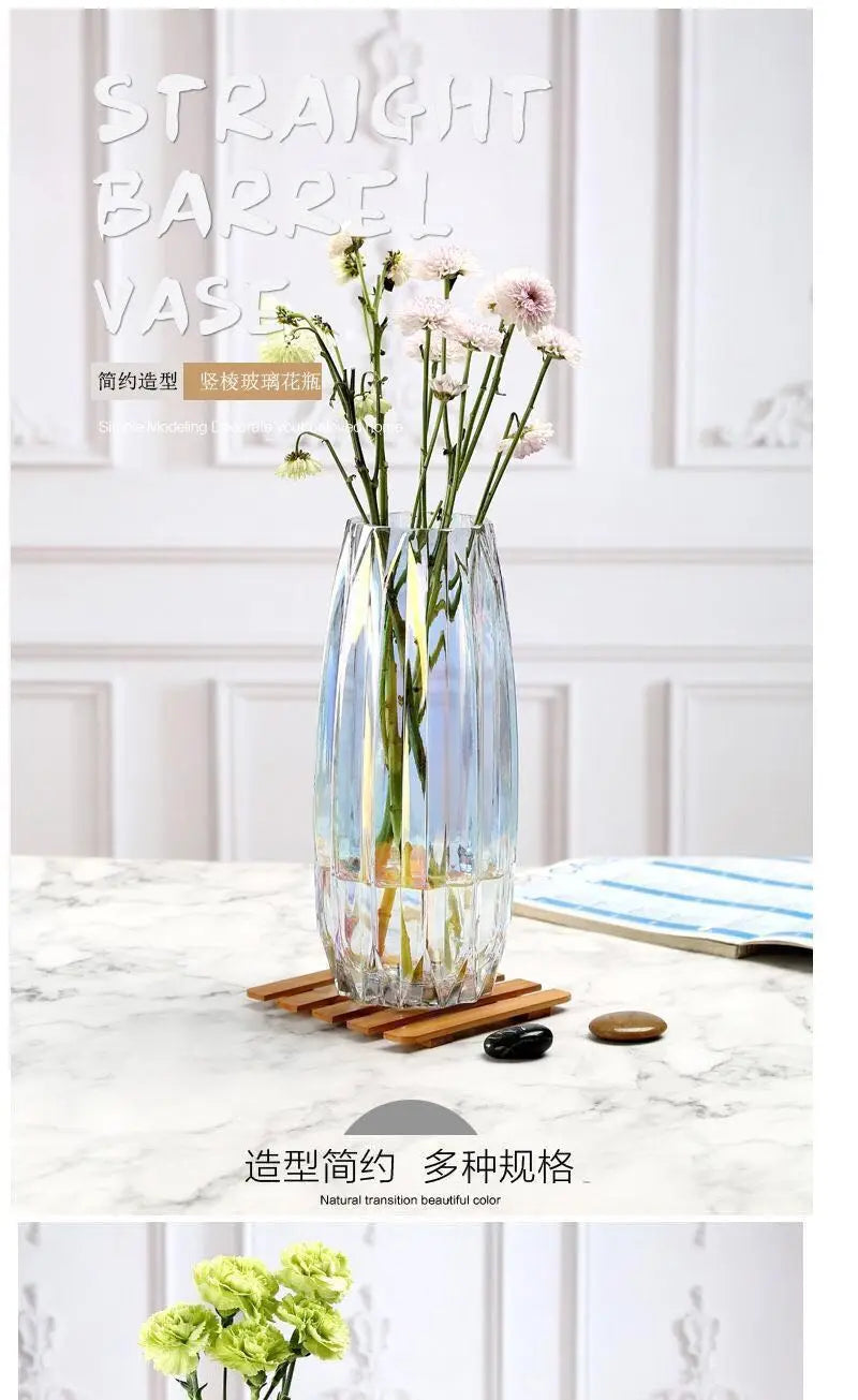 Nordic simple large glass vase transparent color