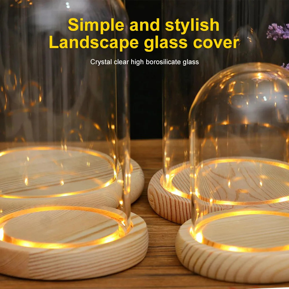 Glass Dome Wooden Base With LED Light Landscape Vase Dry Flower Cloche Cover DIY Succulent Plants Container Holder Bedroom Decor