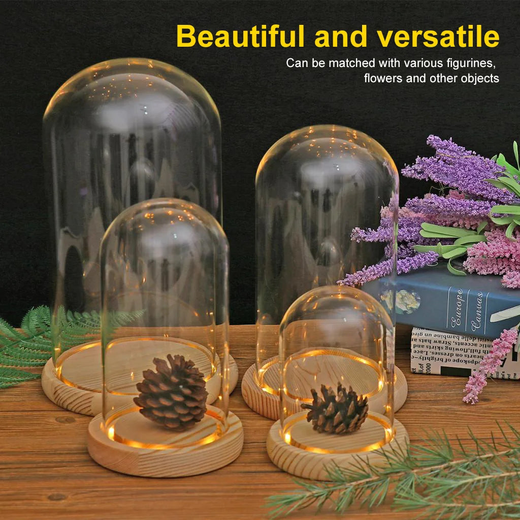 Glass Dome Wooden Base With LED Light Landscape Vase Dry Flower Cloche Cover DIY Succulent Plants Container Holder Bedroom Decor