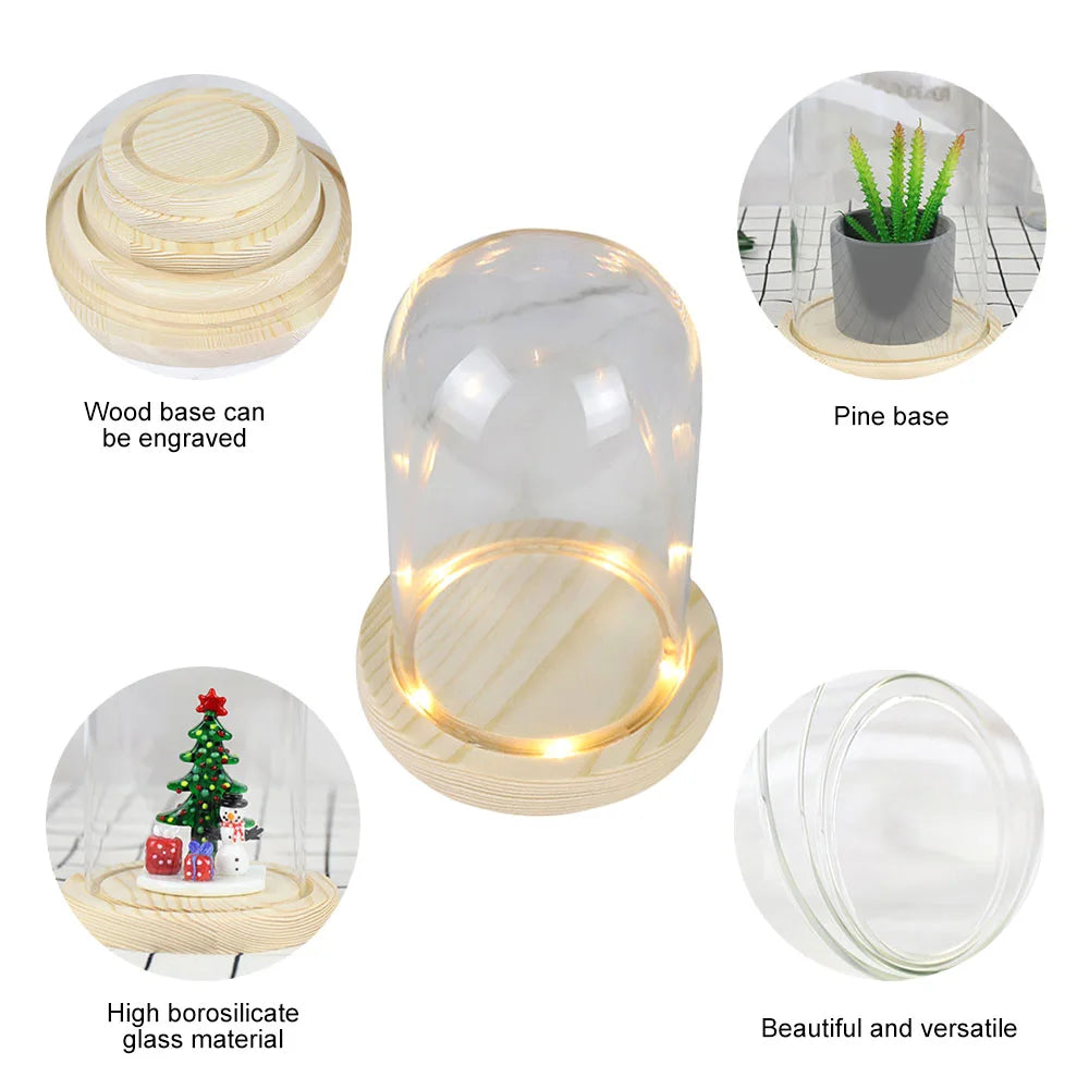 Glass Dome Wooden Base With LED Light Landscape Vase Dry Flower Cloche Cover DIY Succulent Plants Container Holder Bedroom Decor