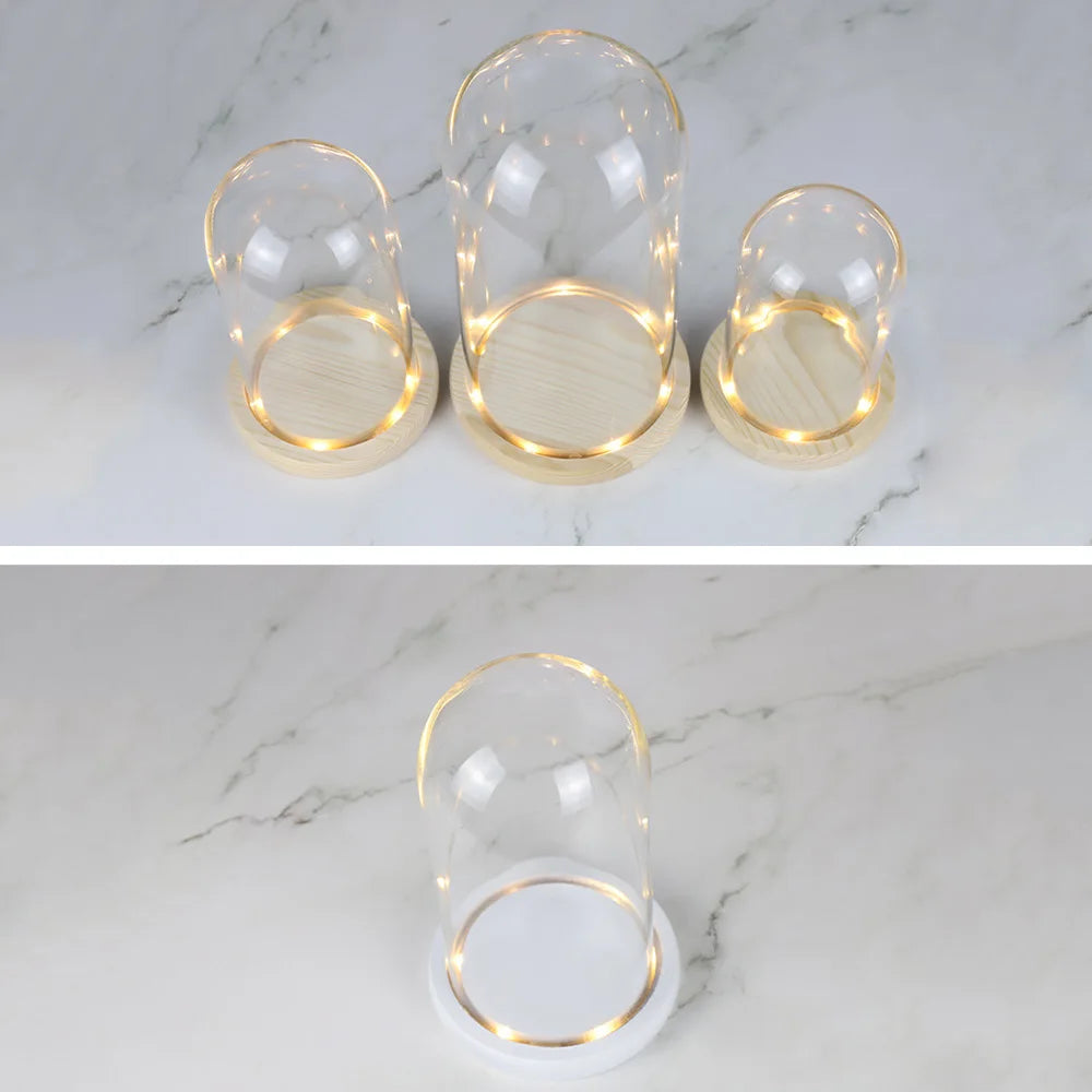 Glass Dome Wooden Base With LED Light Landscape Vase Dry Flower Cloche Cover DIY Succulent Plants Container Holder Bedroom Decor