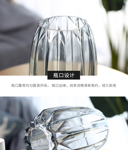 Nordic simple large glass vase transparent color