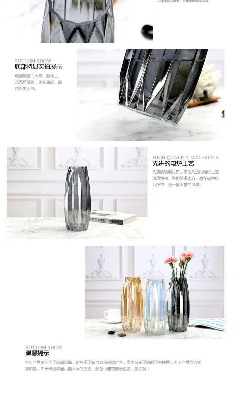 Nordic simple large glass vase transparent color
