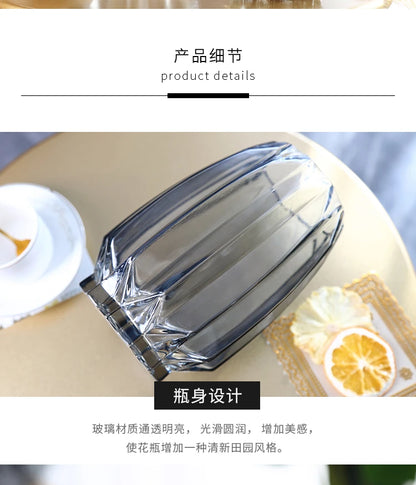 Nordic simple large glass vase transparent color