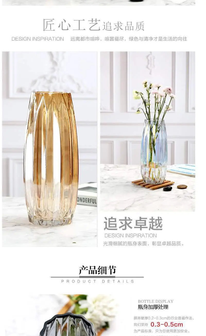 Nordic simple large glass vase transparent color