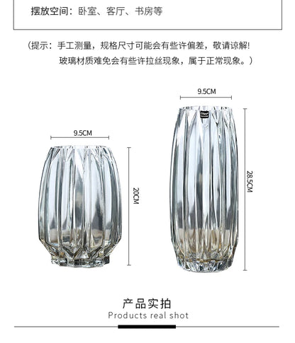 Nordic simple large glass vase transparent color