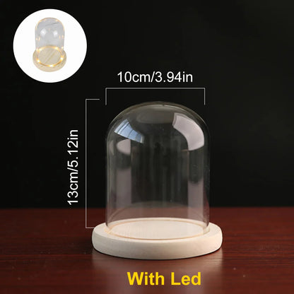 Glass Dome Wooden Base With LED Light Landscape Vase Dry Flower Cloche Cover DIY Succulent Plants Container Holder Bedroom Decor