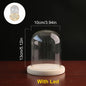 Glass Dome Wooden Base With LED Light Landscape Vase Dry Flower Cloche Cover DIY Succulent Plants Container Holder Bedroom Decor