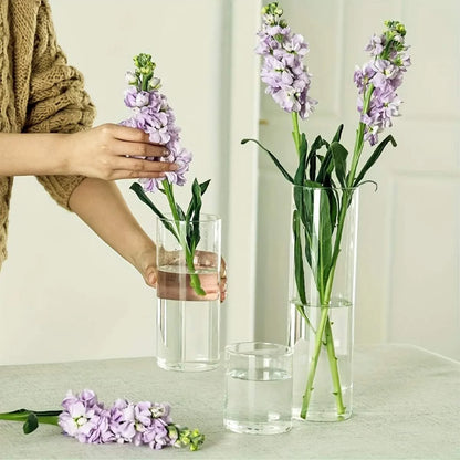 Glass Cylinder Vases Florals Container Flower Vase