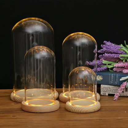 Glass Dome Wooden Base With LED Light Landscape Vase Dry Flower Cloche Cover DIY Succulent Plants Container Holder Bedroom Decor
