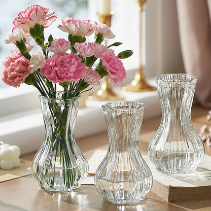 Glass Transparent Flower Vase  Table Decoration