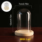 Glass Dome Wooden Base With LED Light Landscape Vase Dry Flower Cloche Cover DIY Succulent Plants Container Holder Bedroom Decor