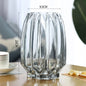 Nordic simple large glass vase transparent color
