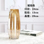 Nordic simple large glass vase transparent color