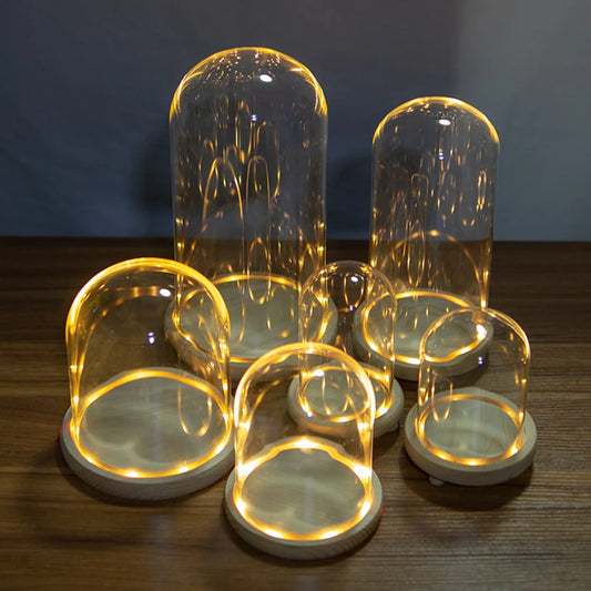 Glass Dome Wooden Base With LED Light Landscape Vase Dry Flower Cloche Cover DIY Succulent Plants Container Holder Bedroom Decor
