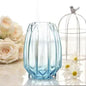 Nordic simple large glass vase transparent color