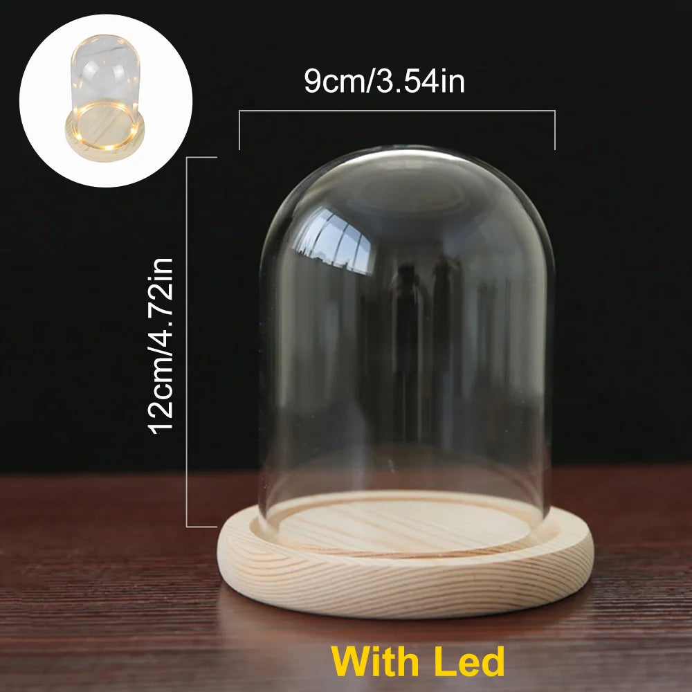 Glass Dome Wooden Base With LED Light Landscape Vase Dry Flower Cloche Cover DIY Succulent Plants Container Holder Bedroom Decor